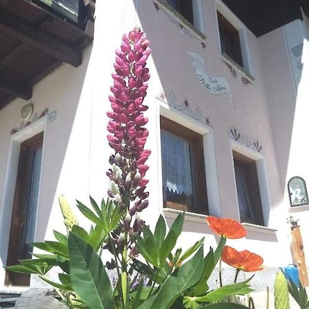 Baita Stella Alpina Livigno Exteriör bild