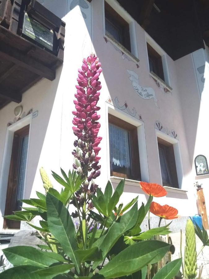 Baita Stella Alpina Livigno Exteriör bild